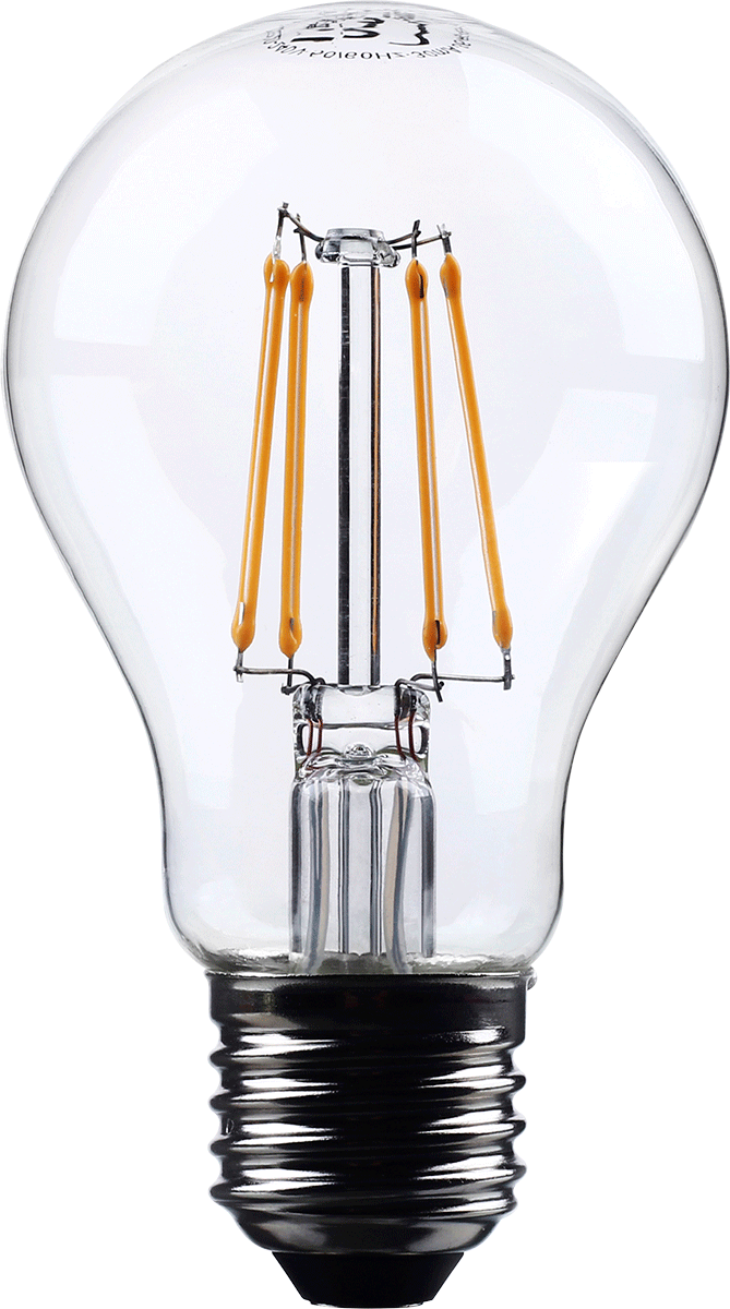 LED Filament Leuchtmittel LF13
