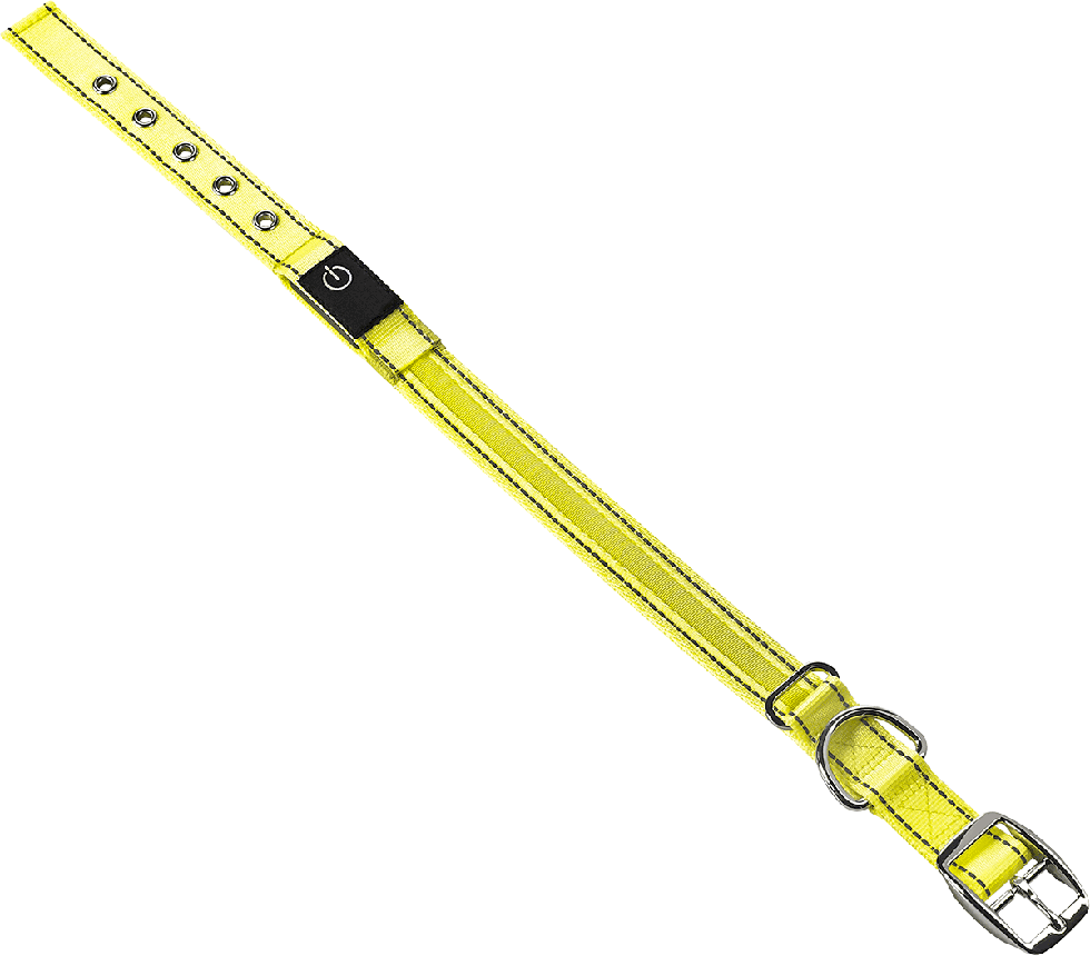 LED Hundehalsband B27 Größe L