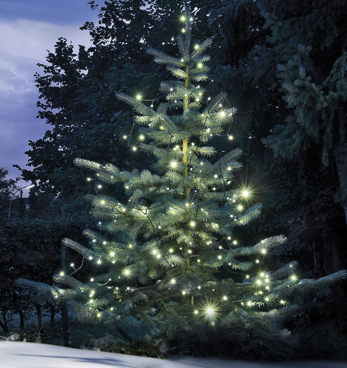 MeLiTec Weihnachtsbeleuchtung Symbolbild