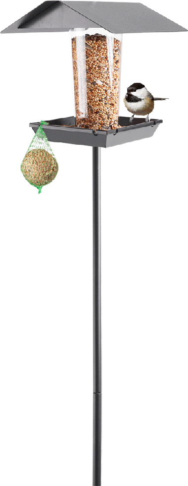 MeLiTec Edelstahl Vogelfutter Haus VH06-1 stehend, eckig, schwarz-matt