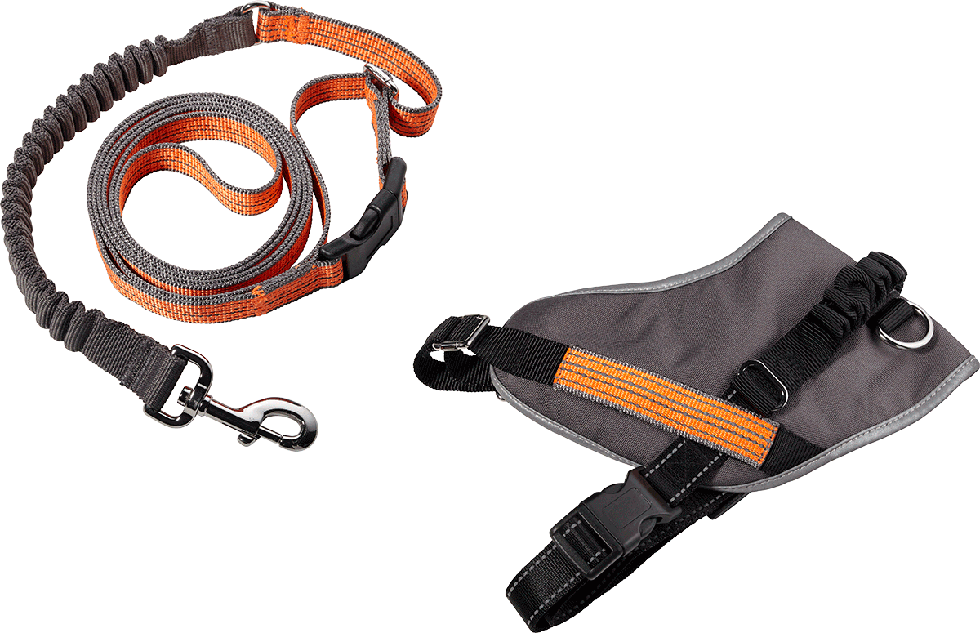 Geschirr + Leine B101 Größe M Geschirr + Leine B101 Größe M