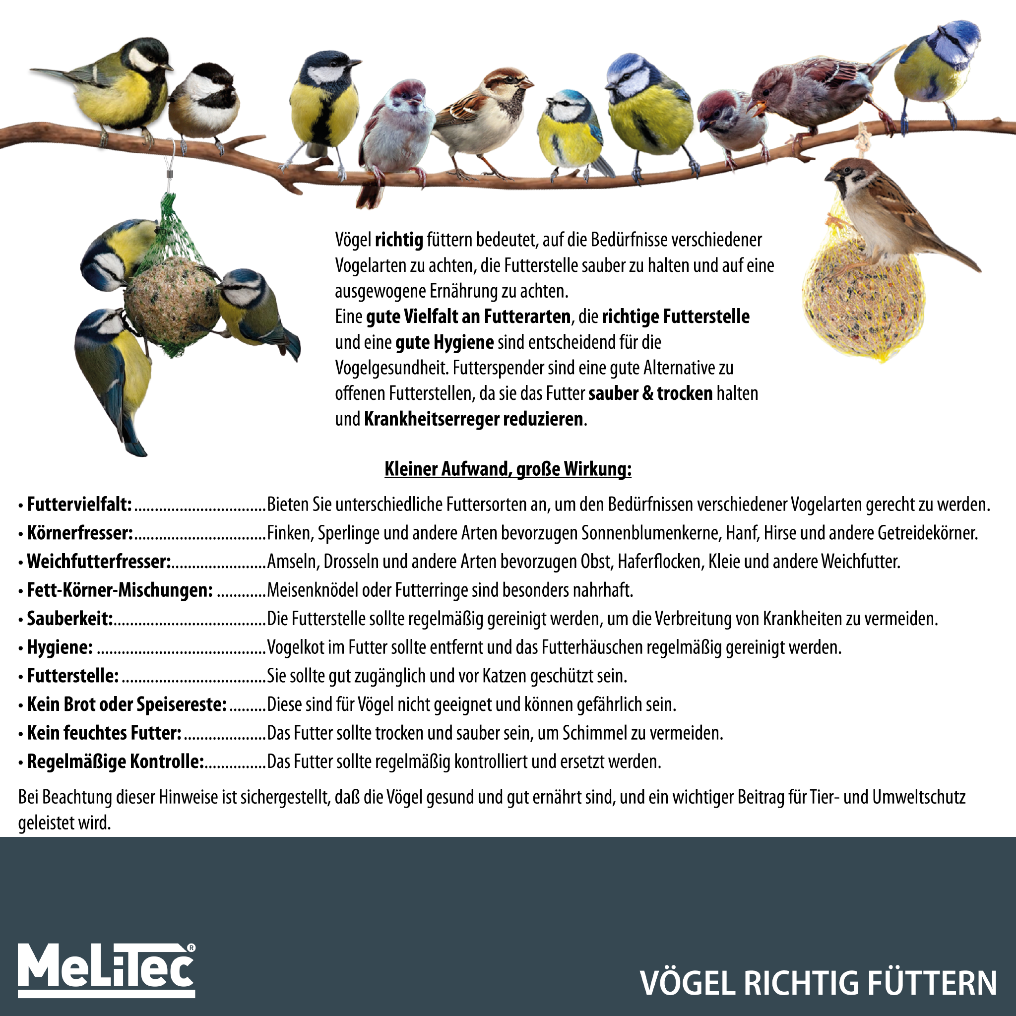 MeLiTec Vogelfutterstation mit Ständer, Vogelhaus VH10, Futterstation Edelstahl matt gebürstet, stehend, 150 cm Höhe, rund Ø14 cm, silber-matt Tier, Vogel, Fink, Werbung, Plakat,