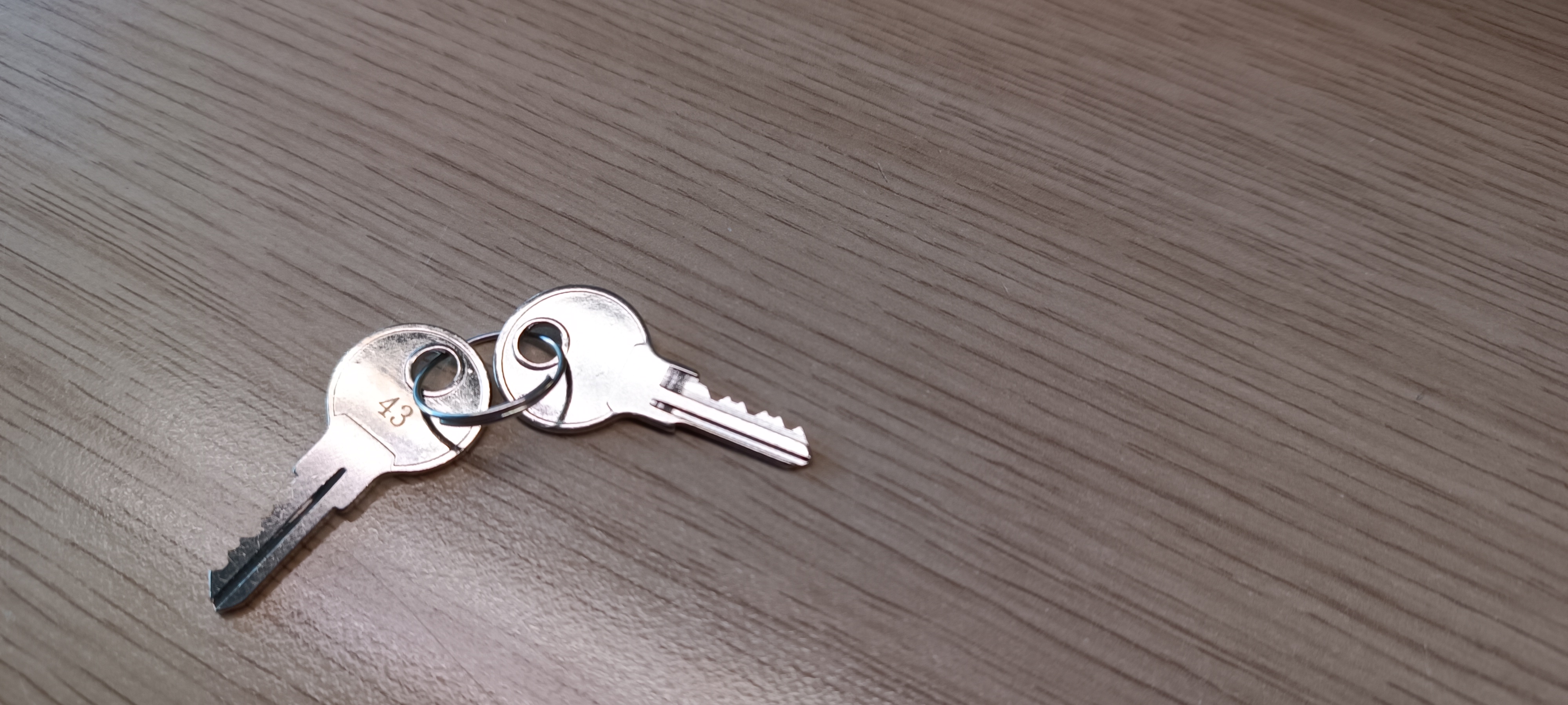 MeLiTec Zubehör, 2 Schlüssel für Briefkasten, Nummer 43, einseitig MeLiTec Zubehör, 2 Schlüssel für Briefkasten, Nummer 43, einseitig