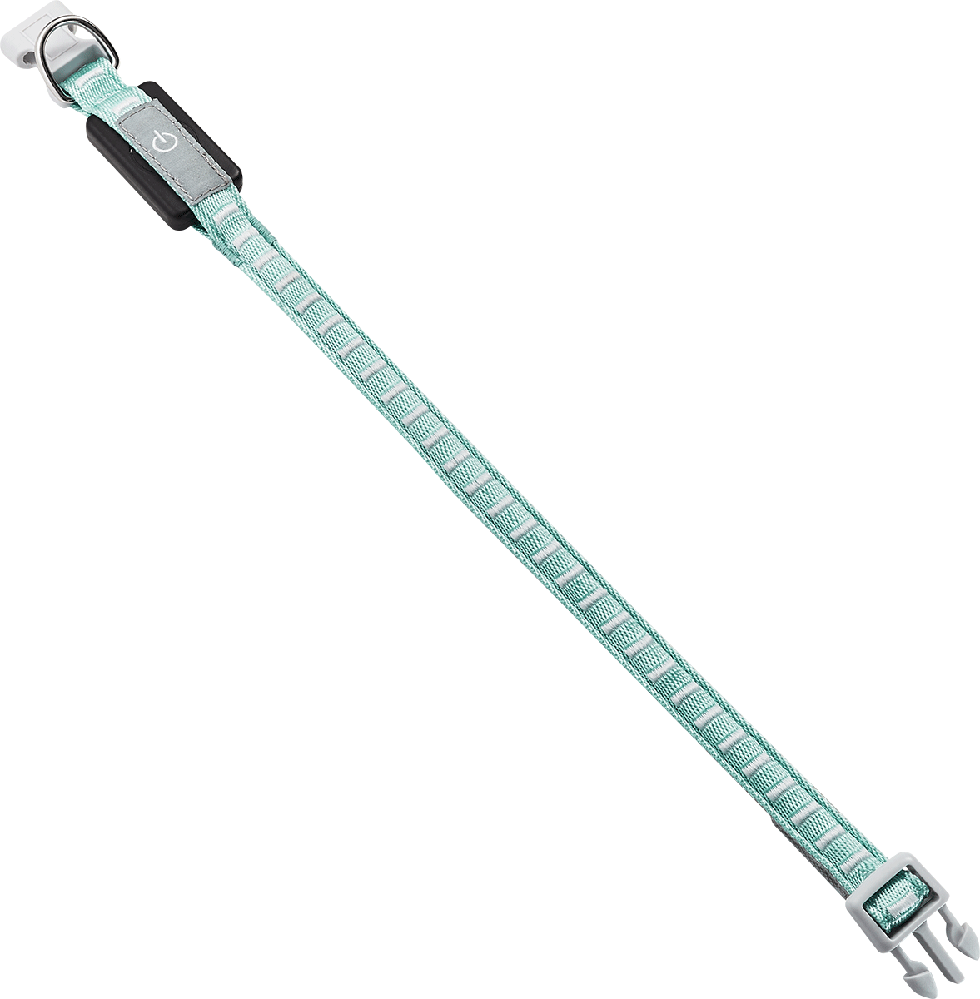 LED Hundehalsband B106 Größe XS