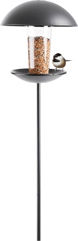 Vogelfutterhaus, Lampe, Tier, Vogel, Tier, Vogel, Fink, Tier, Vogel, Fink, Tier, Vogel, Fink, 
