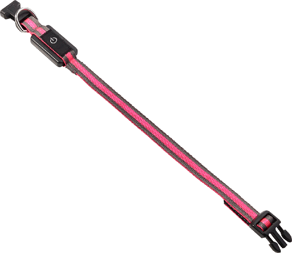 LED Hundehalsband B93 Größe XS