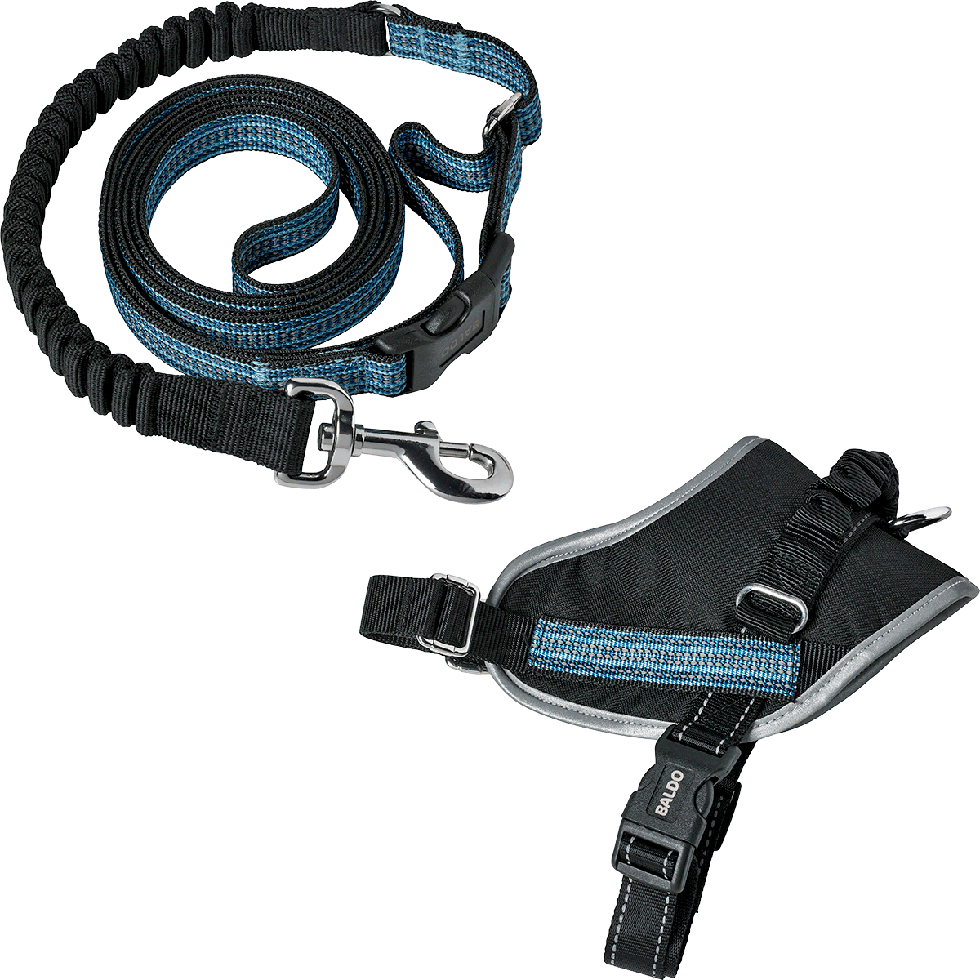 Geschirr + Leine B77 Größe S Geschirr + Leine B77 Größe S