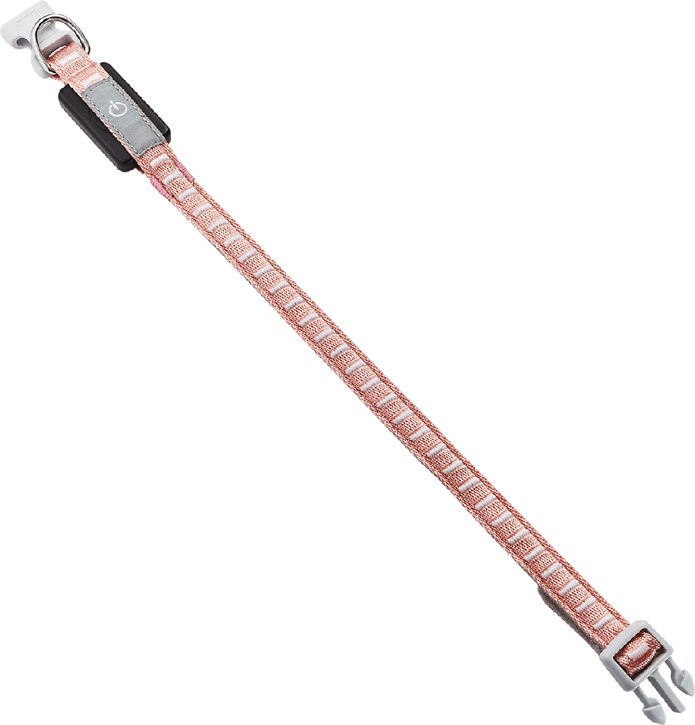 LED Hundehalsband B107 Größe: XS