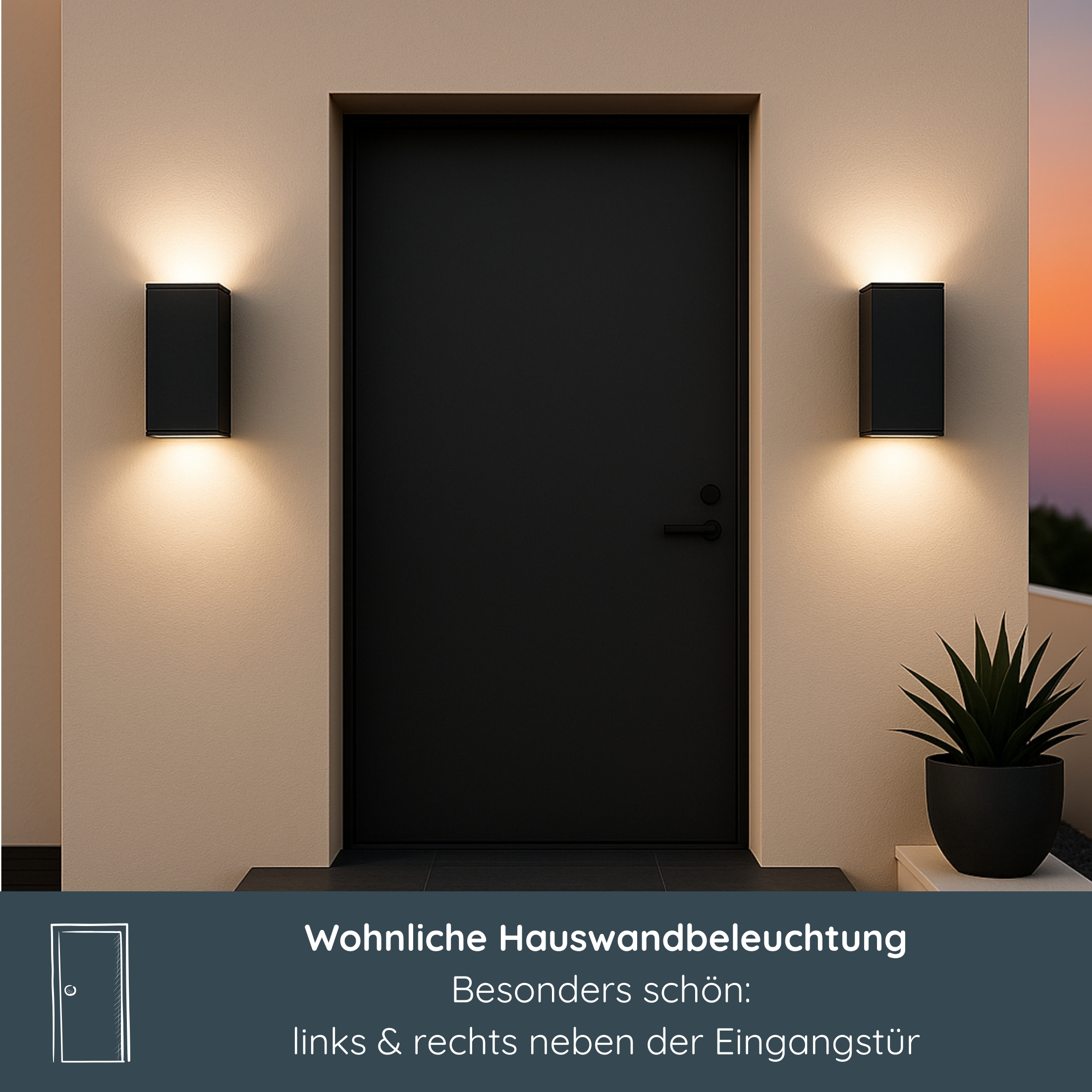 Pflanze, Tür, Beleuchtung, 